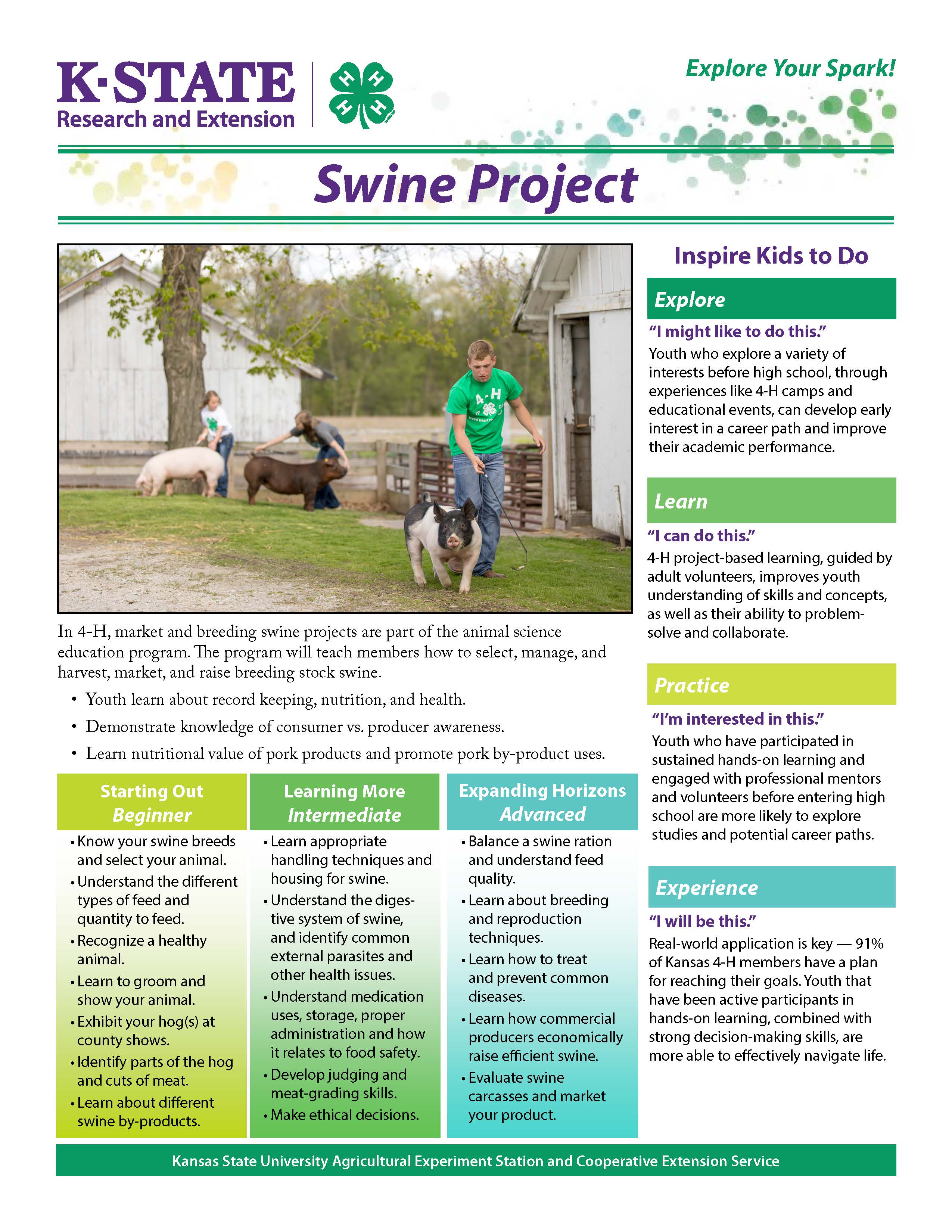 Swine Spark Page - Thumbnail. Click to view Bookstore PDF version.